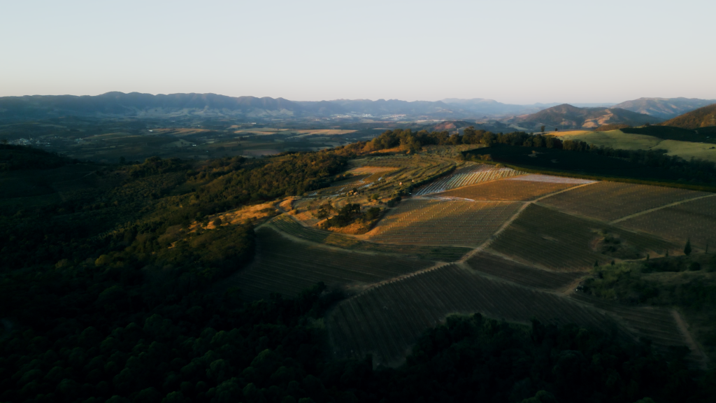 Hills