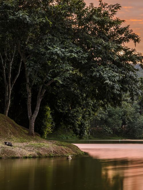 Lago Municipal Iria da Motta e Silva