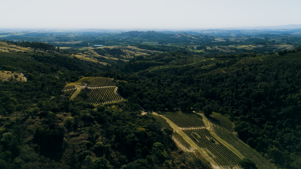 Hills