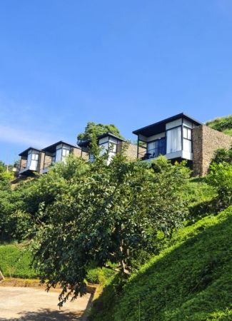 Terra de Kurí 