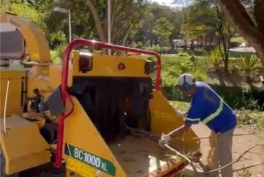 TRITURADOR DE GALHOS AGILIZA O TRABALHO DE PODA DE ÁRVORES E COMPOSTAGEM DO MATERIAL ORGÂNICO