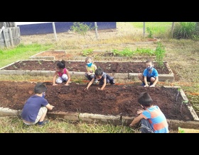 Escola de educação infantil incentiva cultivo de horta comunitária em projeto de contraturno