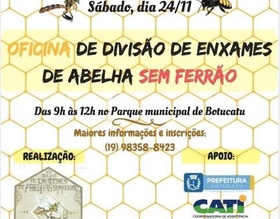 Parque Municipal recebe Oficina de Divisão de Enxames de Abelhas sem Ferrão