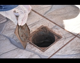 TODOS CONTRA A DENGUE:você sabe identificar os criadouros presentes na sua casa?