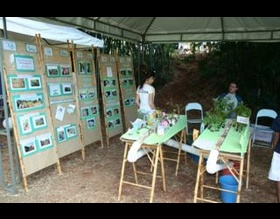 Lançamento de campanha por uso racional da Água atrai 500