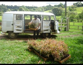 Projeto da Prefeitura possibilita aumento de renda para produtores rurais