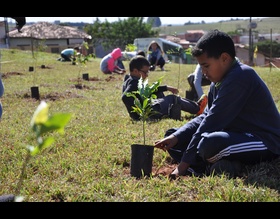 Secretaria do Verde de Botucatu já plantou mais de 7 mil árvores em 2019