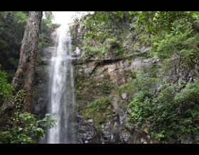 Parque Natural da Cascata da Marta terá primeira trilha aberta ao público nesta quinta, 09