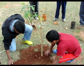 Alunos do PET realizam o plantio de 10 mudas no Ginásio Municipal