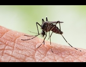 Vigilância Ambiental em Saúde fará pulverização de larvicida biológico no Comerciários 4 e Parque Santa Inês