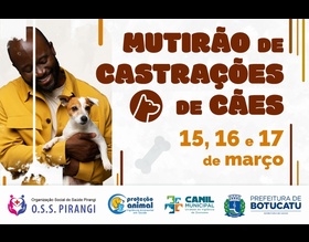 Prefeitura realiza mutirão de castração gratuita para cões