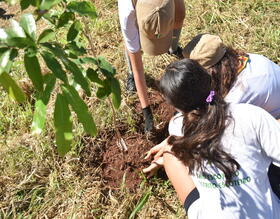 Botucatu Cidade Viva planta mais de 1.500 mudas em setembro e reforça compromisso com o meio ambiente