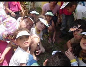 Alunos do CEI José Luiz Amat recebem mudas em comemoração ao Dia da árvore