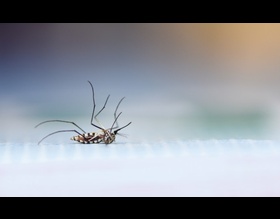 Vigilância Ambiental em Saúde realizará mais uma ação em combate à dengue na Região Norte