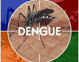 Saúde comunica dois casos de dengue importados