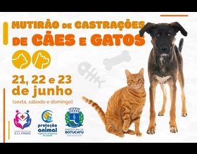 Prefeitura realizará mutirão de castração gratuita para cães e gatos