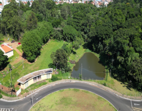 Prefeitura promoverá plantio de 50 mudas neste sábado, 29