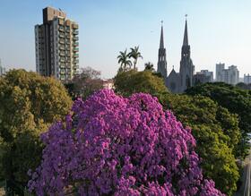 Projeto de lei aprovado em Botucatu busca valorizar o artesanato local