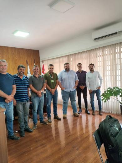 PODA DE ÁRVORES: PREFEITURA DEFINE COM ELEKTRO FORÇA TAREFA PARA A REALIZAÇÃO DO TRABALHO