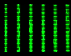 Saúde renova infra-estrutura tecnológica