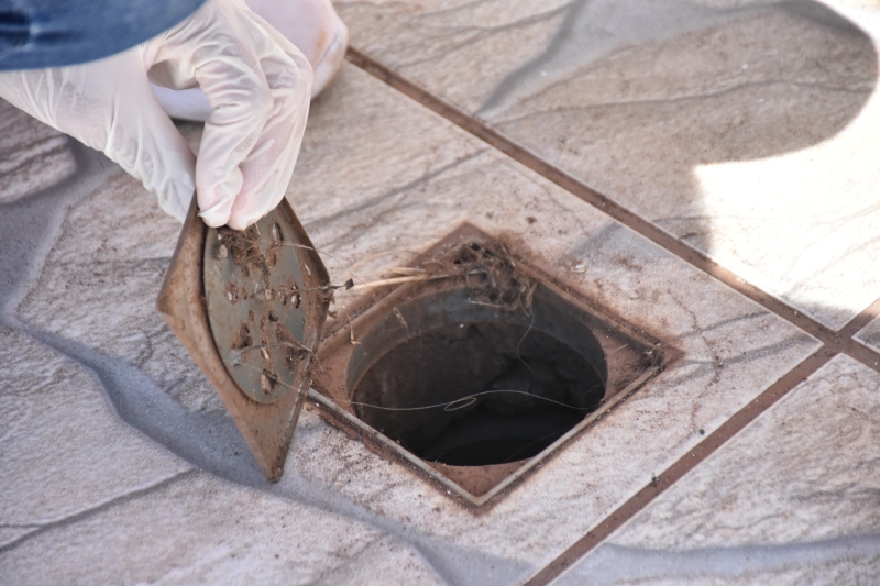 TODOS CONTRA A DENGUE:você sabe identificar os criadouros presentes na sua casa?