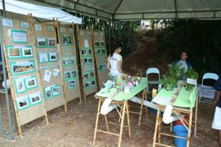 Lançamento de campanha por uso racional da Água atrai 500