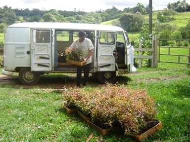 Projeto da Prefeitura possibilita aumento de renda para produtores rurais