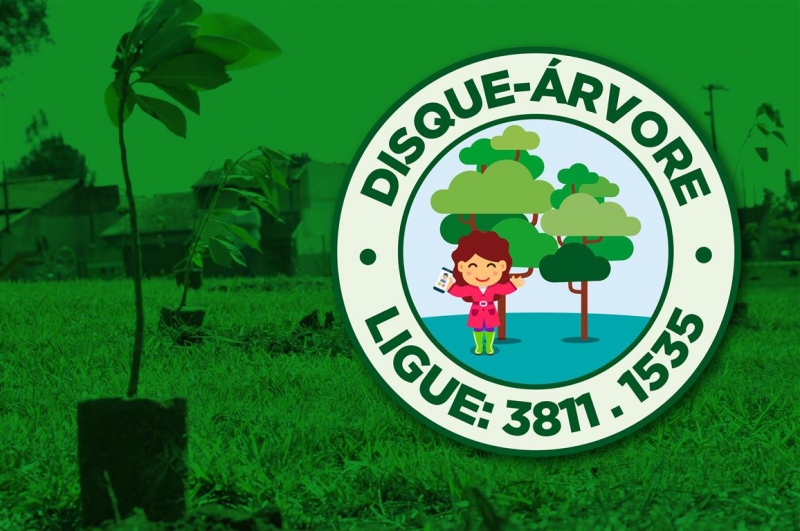Disque-Árvore disponibiliza e planta gratuitamente mudas de árvores em Botucatu