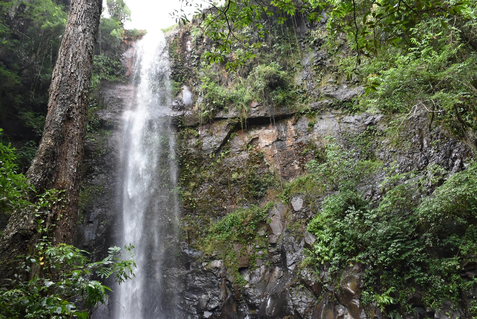Parque Natural da Cascata da Marta terá primeira trilha aberta ao público nesta quinta, 09