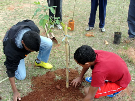 Alunos do PET realizam o plantio de 10 mudas no Ginásio Municipal
