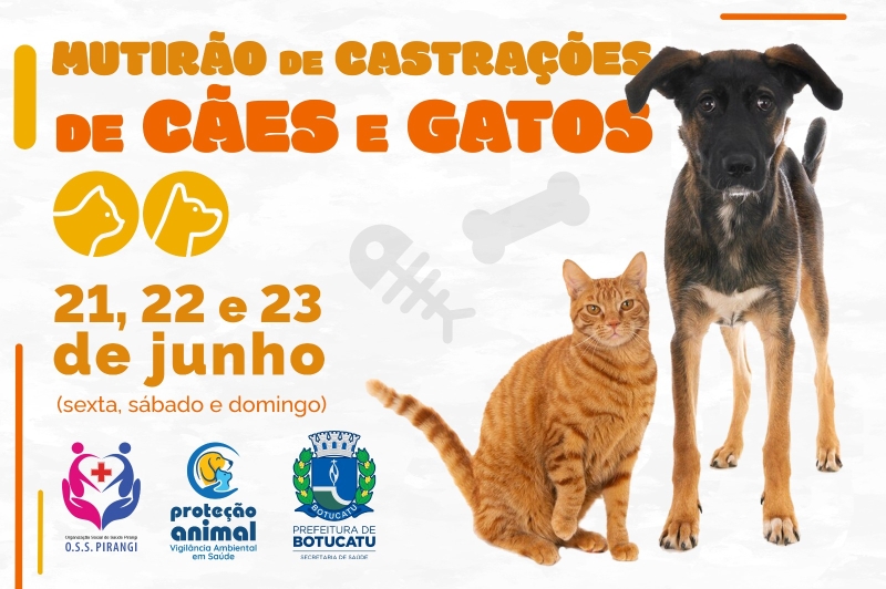 Prefeitura realizará mutirão de castração gratuita para cães e gatos