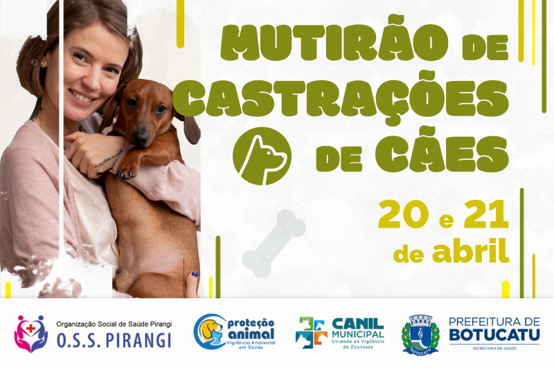Prefeitura realizará mais um mutirão de castração gratuita para cões